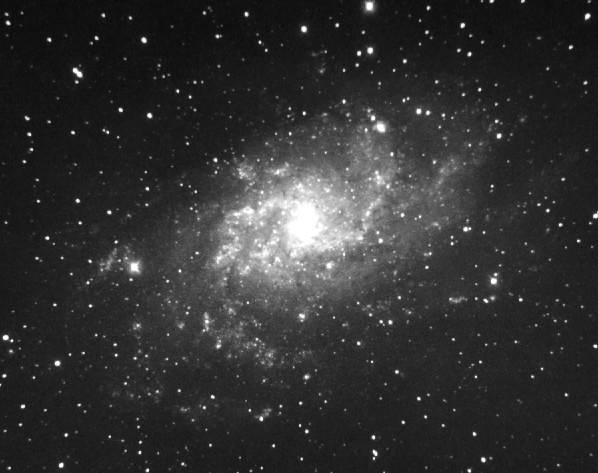M33